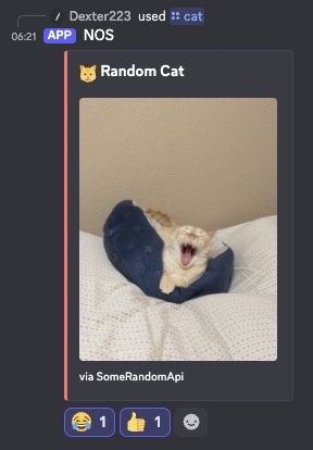 NOS /cat slash command returning a random cat image in a Discord channel